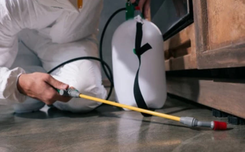 Pest Control Pest Control